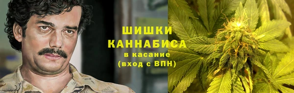 ГАЛЛЮЦИНОГЕННЫЕ ГРИБЫ Аркадак