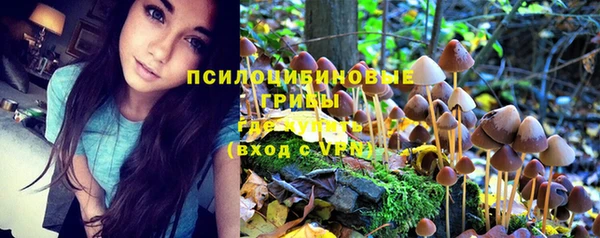 твердый Балахна