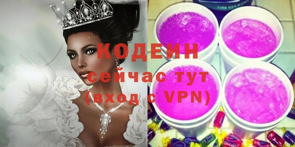 ГАЛЛЮЦИНОГЕННЫЕ ГРИБЫ Аркадак
