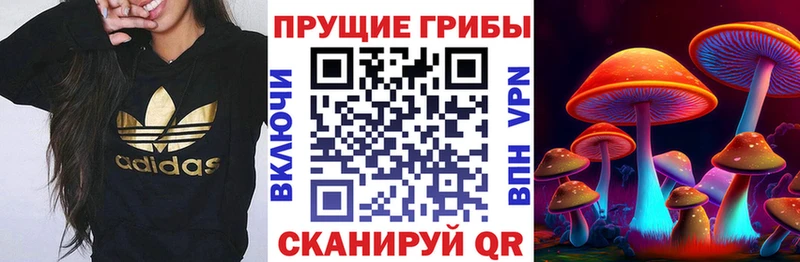Псилоцибиновые грибы прущие грибы  Полевской 