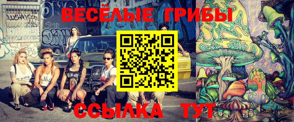 Псилоцибиновые грибы MAGIC MUSHROOMS Полевской