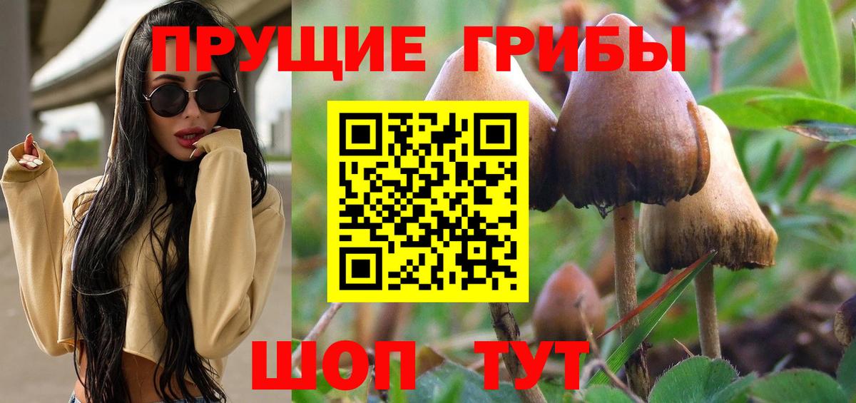 Полевской  Псилоцибиновые грибы мухоморы  Вход с VPN 
